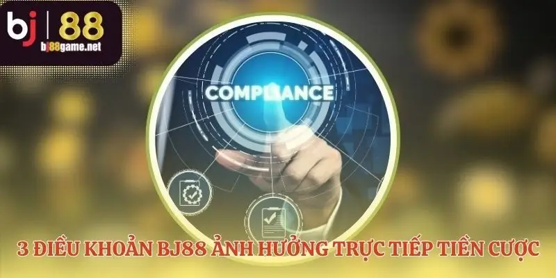 Điều khoản và điều kiện quyết định dòng tiền của bạn