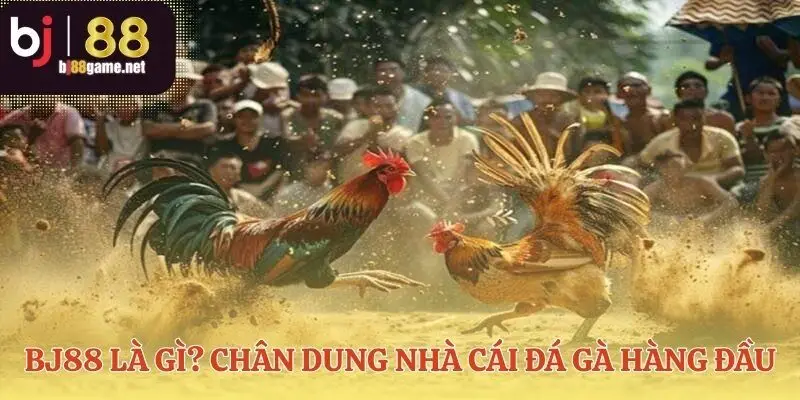 Nền tảng pháp lý và uy tín BJ88