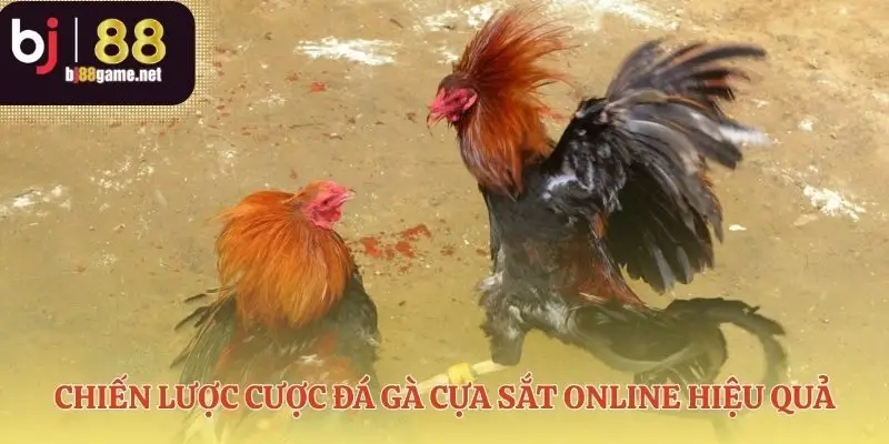 Kỹ năng cược đá gà cựa sắt online thông minh