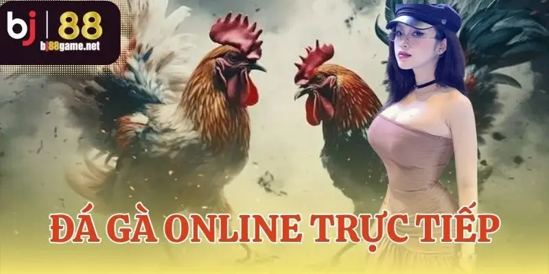 Đá gà online trực tiếp