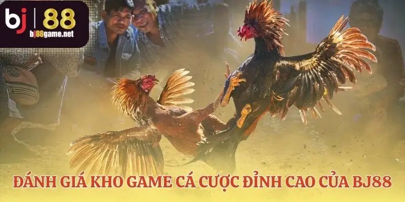 Danh mục về sản phẩm giải trí đa dạng