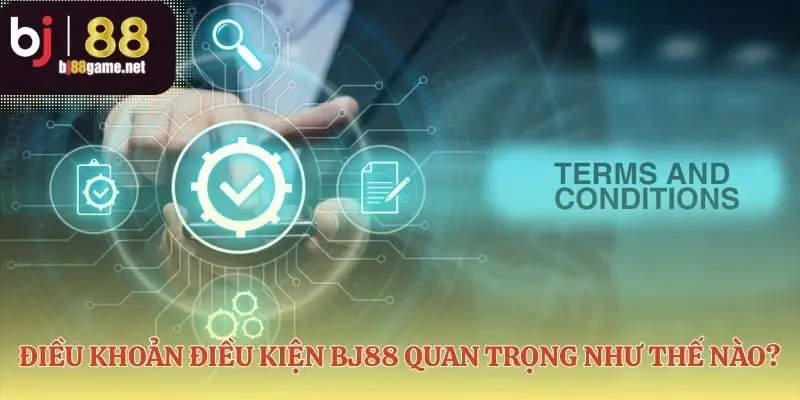 Những điều khoản và điều kiện bảo vệ quyền lợi bạn