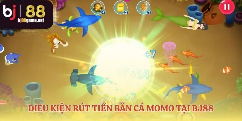 Khung quy định cho giao dịch bắn cá rút tiền Momo