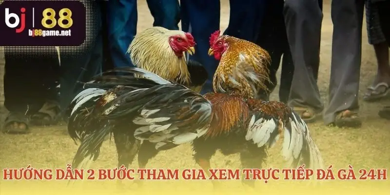 Hai bước đơn giản vào thẳng sàn đấu sôi động