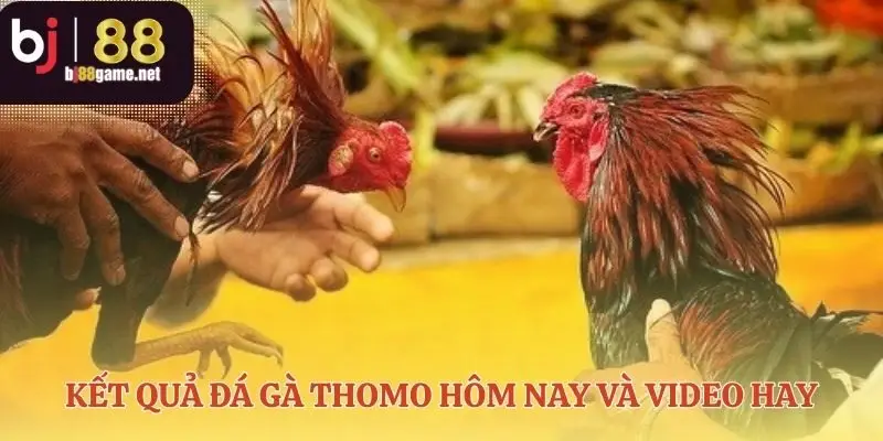 Ghi lại biên niên sử các trận thư hùng đỉnh cao