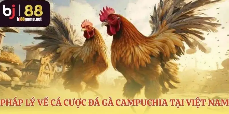 Hiểu rõ luật chơi để tham gia an toàn hơn